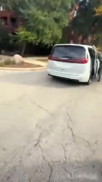 Chicago Tribune reporter posts video of ICE altercation