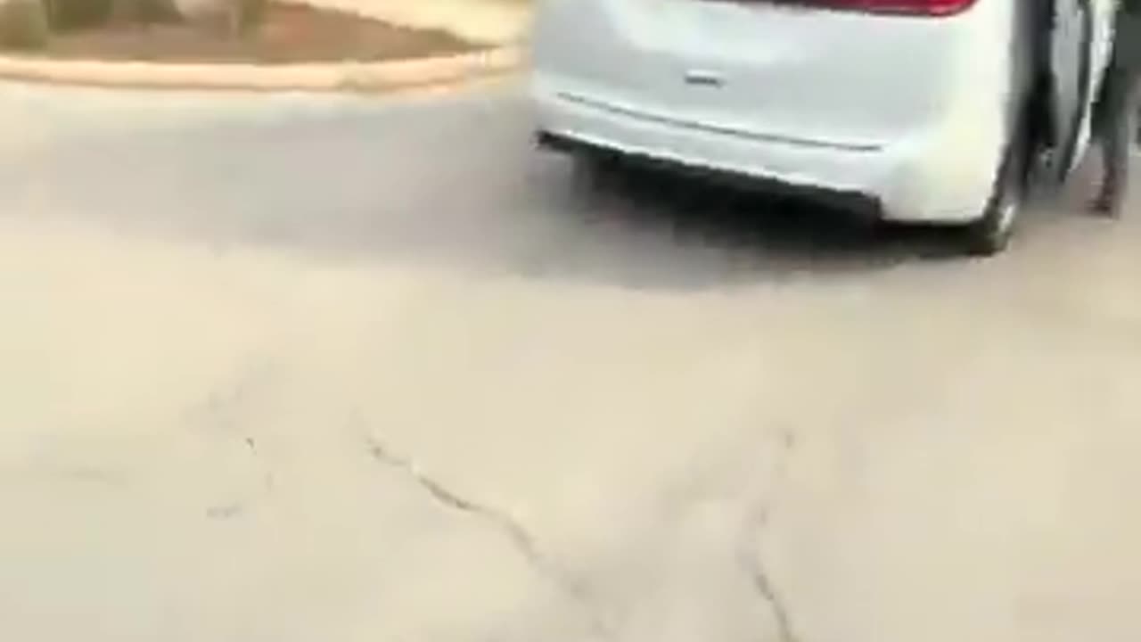 Chicago Tribune reporter posts video of ICE altercation