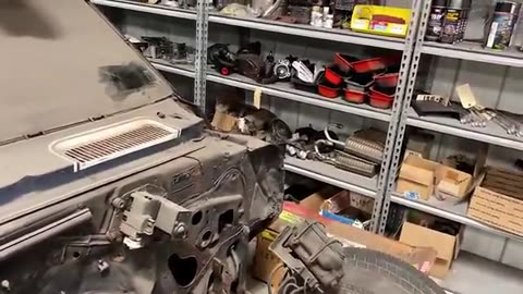 Epic 39 Car Barn Find with ONLY 68 & 69 Camaros SS & Z/28 and 70 Chevelle SS 396 & 454 Cars & Parts