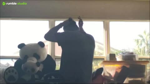 Panda entertainment 🐼