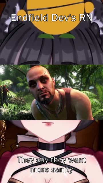 Endfield Dev's after their third survey #arknightsendfield #endfield