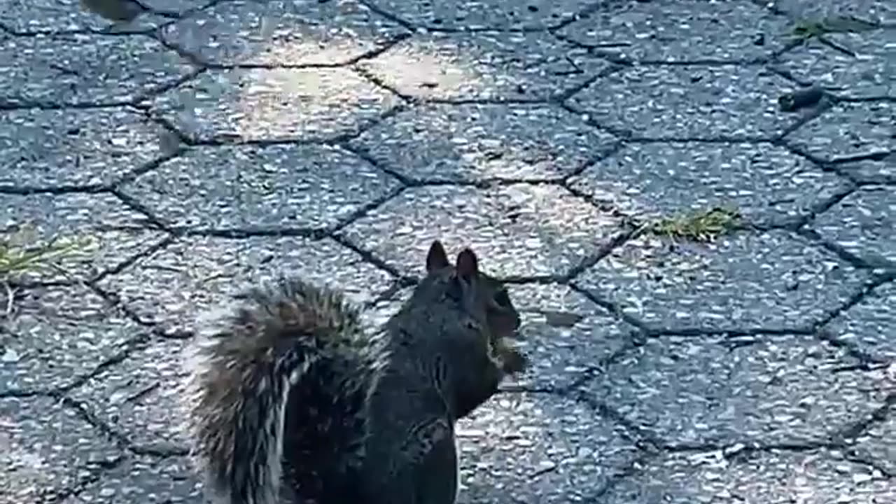 😨👻 Eerie Sound Captured on Video! What Is It? | TheHauntingHour