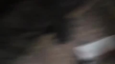 Inside a Russian Field Morgue(The Most Horrific Place On Earth)