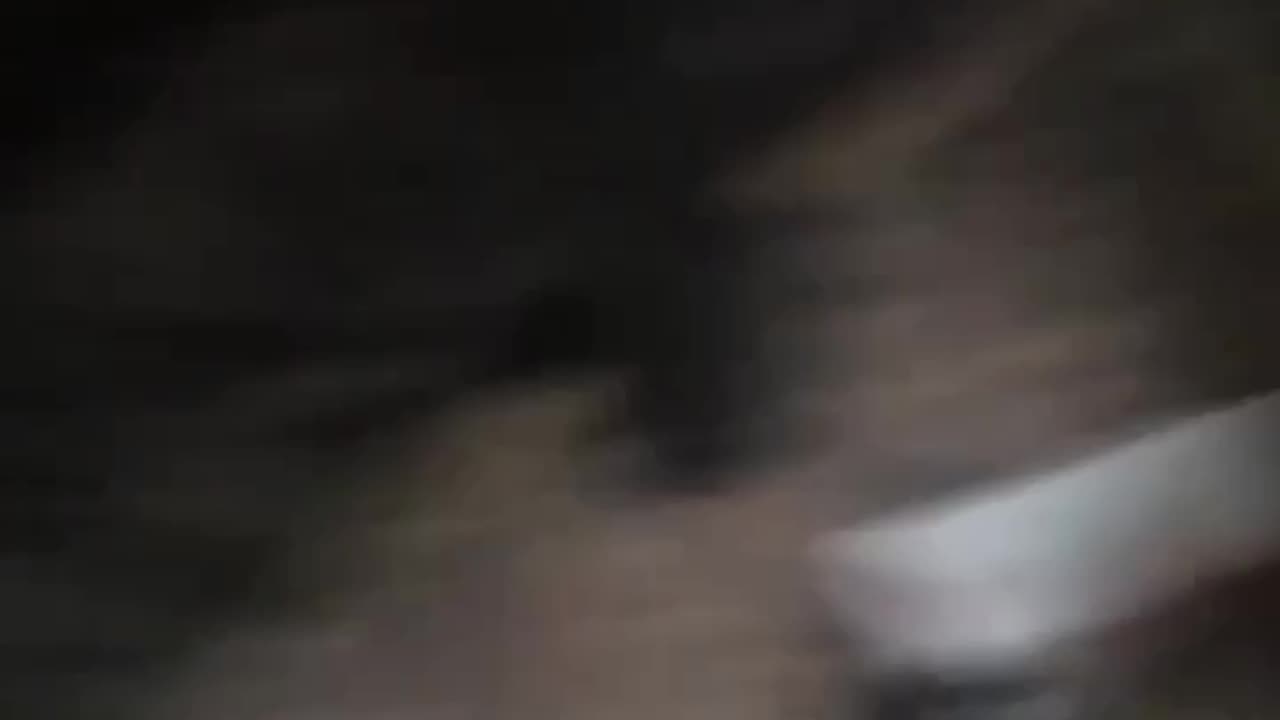 Inside a Russian Field Morgue(The Most Horrific Place On Earth)