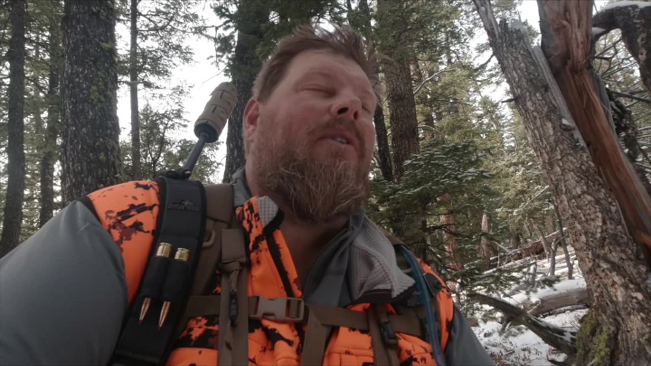 Not Going Anywhere For A While?