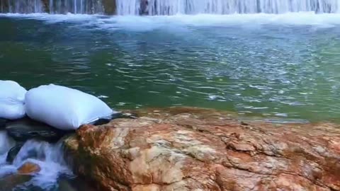 Let's go for a swim