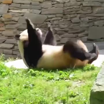 Heading into Christmas week 😊