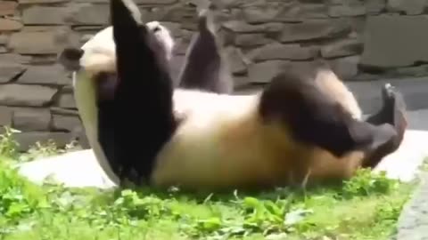 Heading into Christmas week 😊