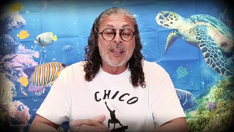 Narcissist Chronicles