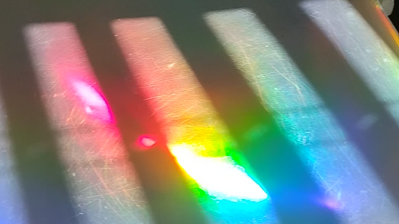 Shia video recorded 1:34 PM Oct 26, '25 by Alyssa