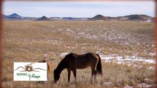 Trent Loos in the Morning - 12/23/2025