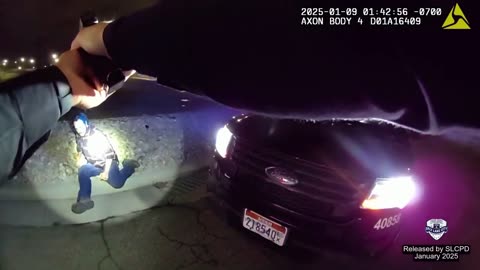 Bystander Interjects Himself into a Traffic Stop and Pays Ultimate Price