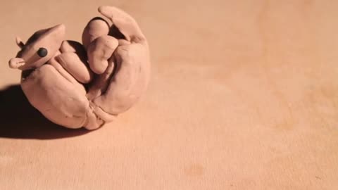 The Magical Morphing of Animals