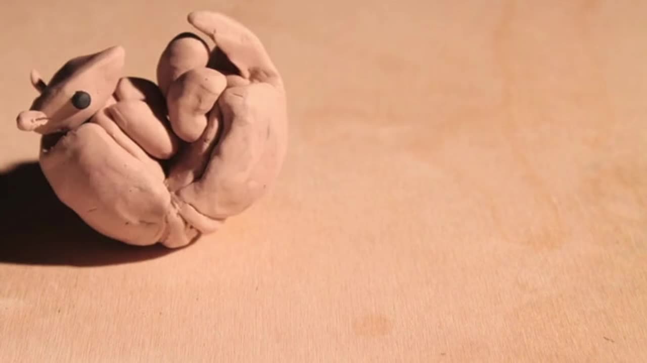 The Magical Morphing of Animals
