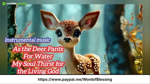 Live Christian SOAKING INSTRUMENTAL WORSHIP || Beautiful Calm Music- Relaxing Music