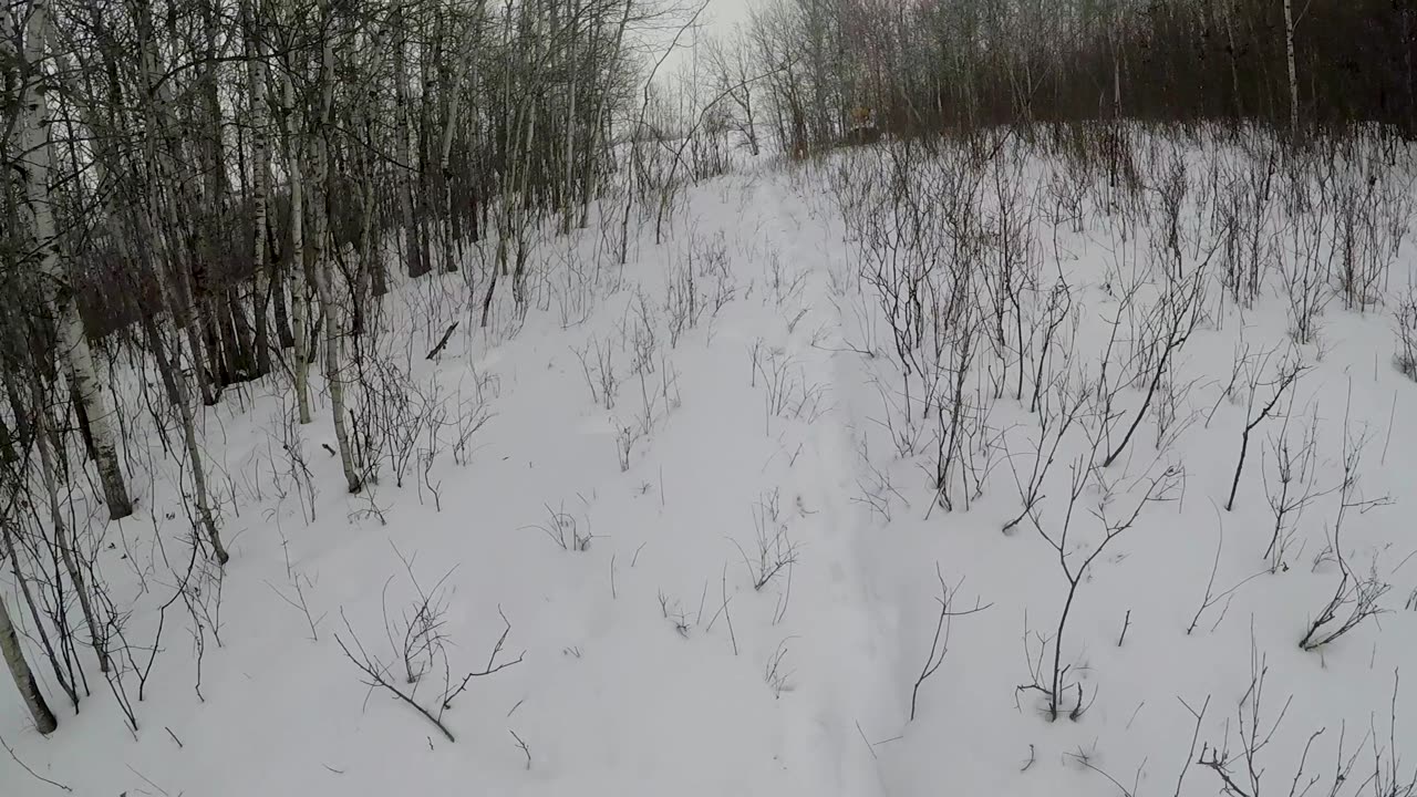 Feb 21, 2025 - Running Coyote Snares