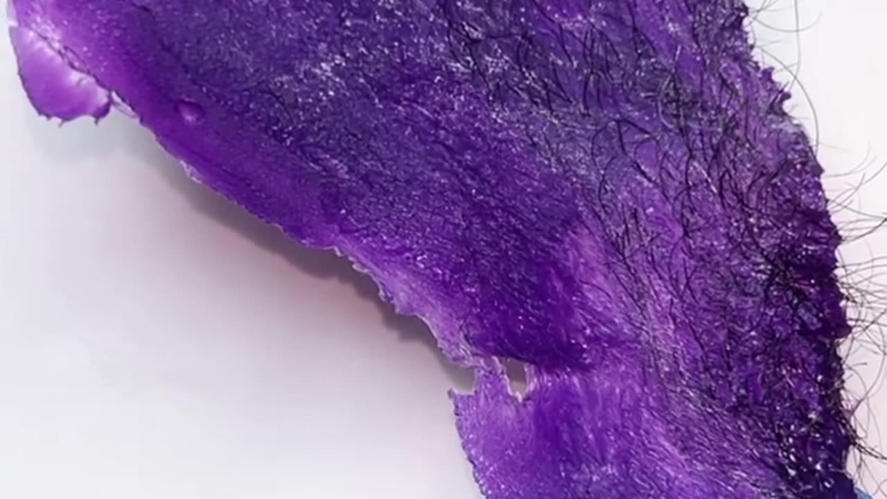 How Sexy Smooth Purple Seduction Hard Wax Effortlessly Removes Hair | @Thenakedkiwi_