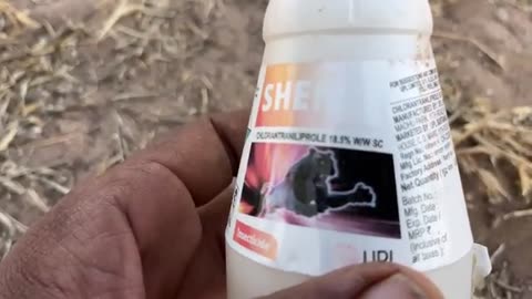 Worldwide Celebrity Trending Moments