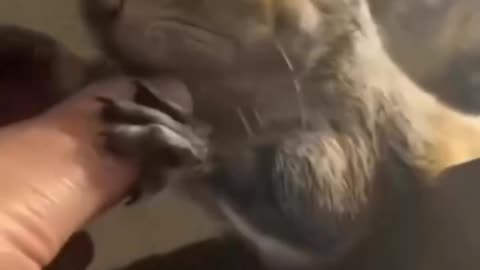 Friends with feelings