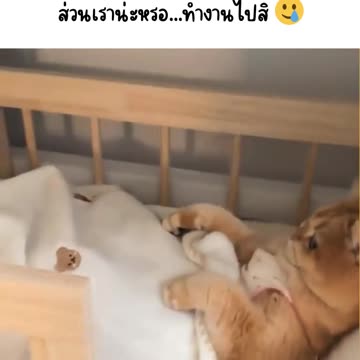 เปิดประตูไปอีกที…ก็ว่าทำไมพ่ออาบน้ำนาน https://s.shopee.co.th/5VGv9sZ0RJ