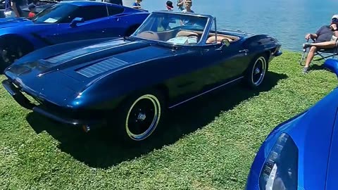 Concours at Fountainhills Car Show A whole lot of Chevrolets