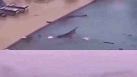 Powerful Hurricane Melissa is hitting Black River and Santa Cruz, Jamaica 🇯🇲 28-29/10/2025