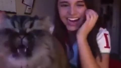 Troligen världens bästa mjaoperasångerska! 😻😆👍