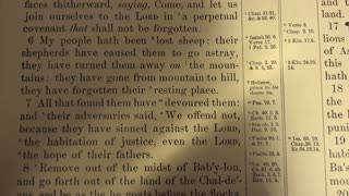 The Lost Sheep