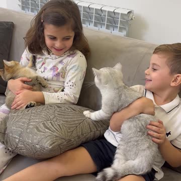 Children and Cats