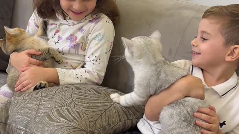 Children and Cats