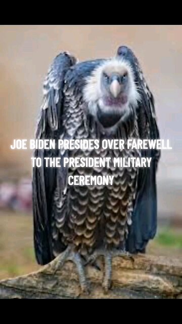 LAST SQWACK FROM A BUZZARD