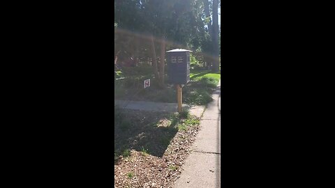 The Police Box Free Mini Library