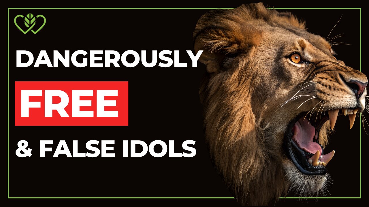 Dangerously Free: Escaping False Idols, Systems & the Matrix | Catherine Edwards & Brice Watson