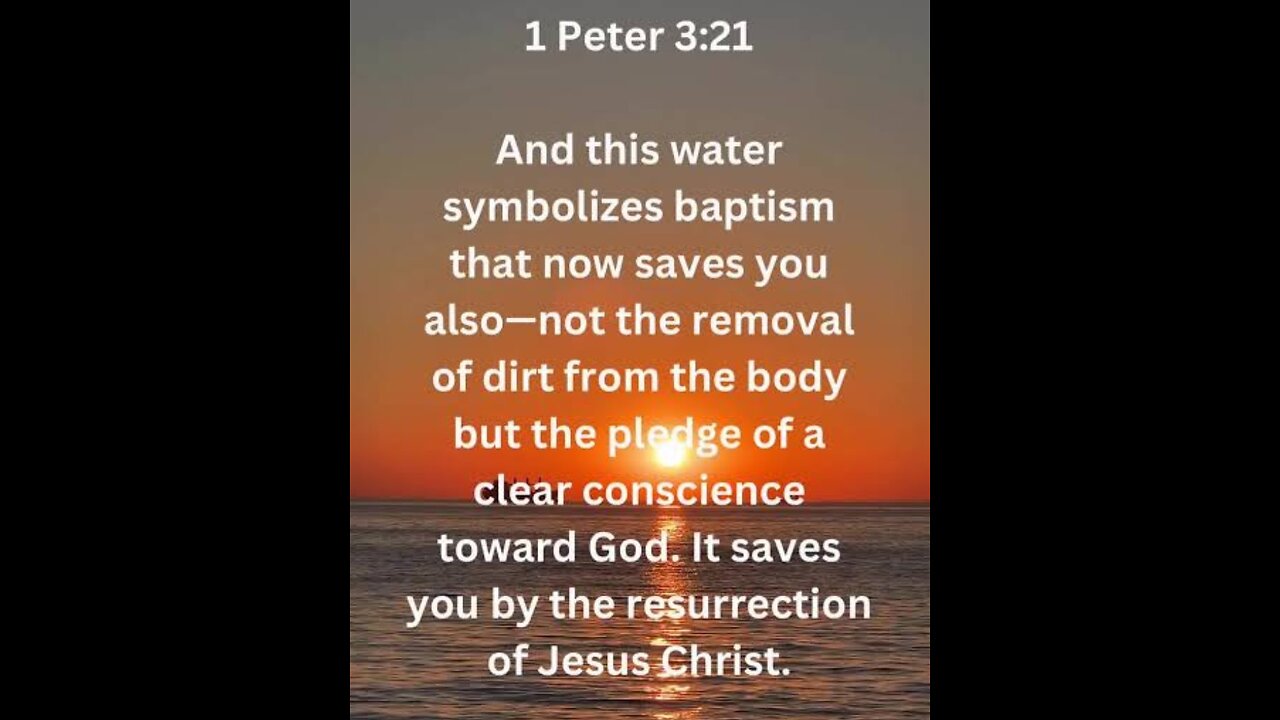 1st Peter 3 (Part 3) Read and Explained