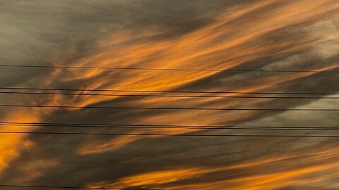 Lawless Log 11.05.2025