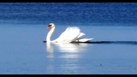 THE MOMENTS THAT SUSTAIN US - DAILY DEVOTIONAL ❤️