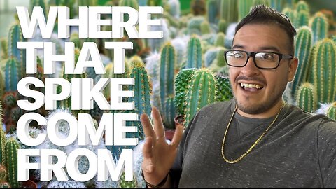 WHERE DID THAT BITCOIN SPIKE COME FROM… AND WHY DID IT DROP?