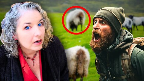 Dogman in Northern Ireland? Park Ranger Finds 4 Sheep