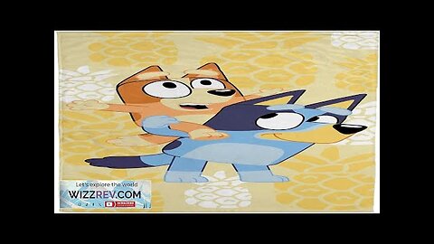 Jay Franco Bluey & Bingo Kids Bath Pool Beach Towel Super Review