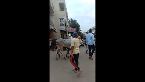 sankranti Puja