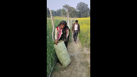 best silent funny videos 🤩 shorts funny video 🥰 indian shorts 🤩