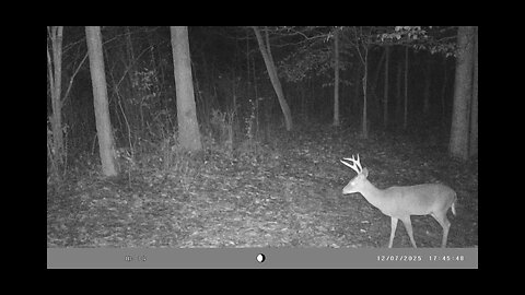 Trail Cam Tuesday, December 30th, 2025.