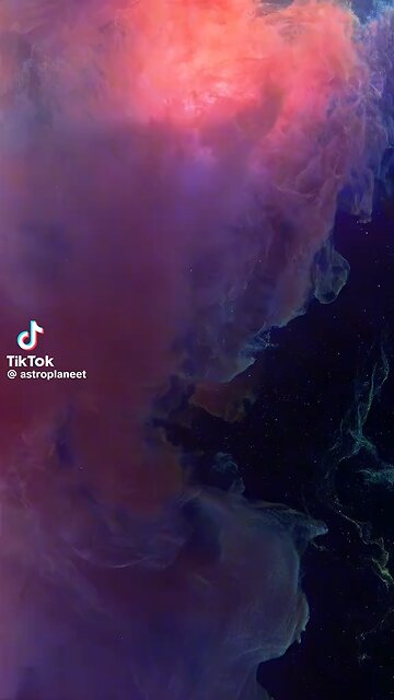 fallow please ❤️❤️