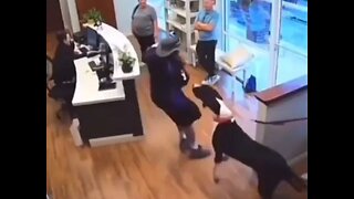 Dude Who Had A Bum Arm Breaks His Knee When Dog Barked At Him In The Reception Area