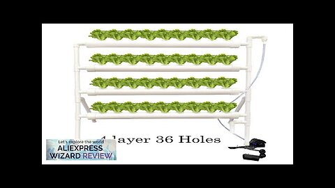 36 Sites Plant Hydroponic Systems Grow Kit Nursery Pots Anti Pest Soilless Review