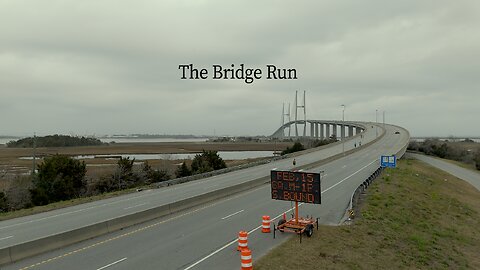 21st Annual Sydney Lanier Bridge Run