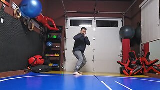WTD Rear Hook Kick to Wheelkick sequential