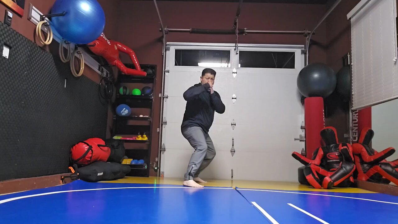 WTD Rear Hook Kick to Wheelkick sequential