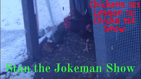 Chickens 101 Lesson #13: Chickens First Snow & How to Keep 'Em Comfy