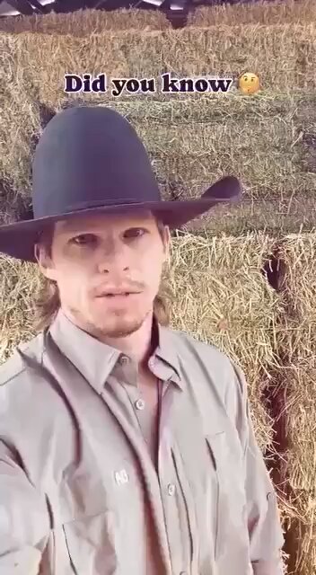 testing McDonalds Meat